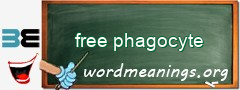 WordMeaning blackboard for free phagocyte